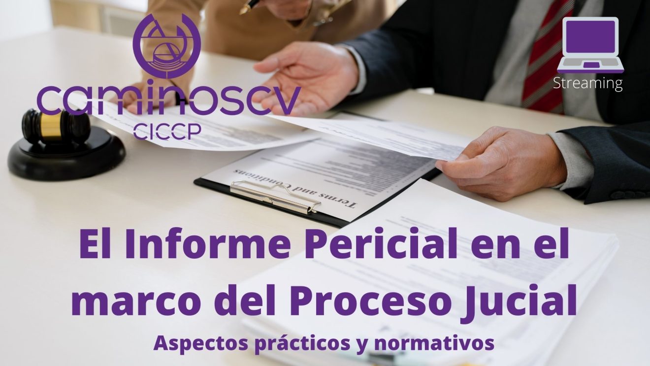 16_20220325_informe pericial