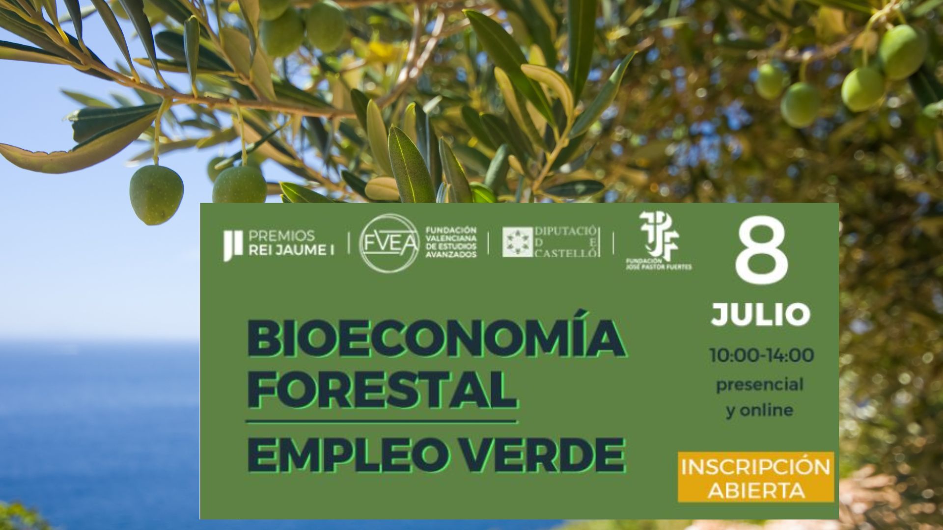 Bioeconomía Forestal. Empleo Verde