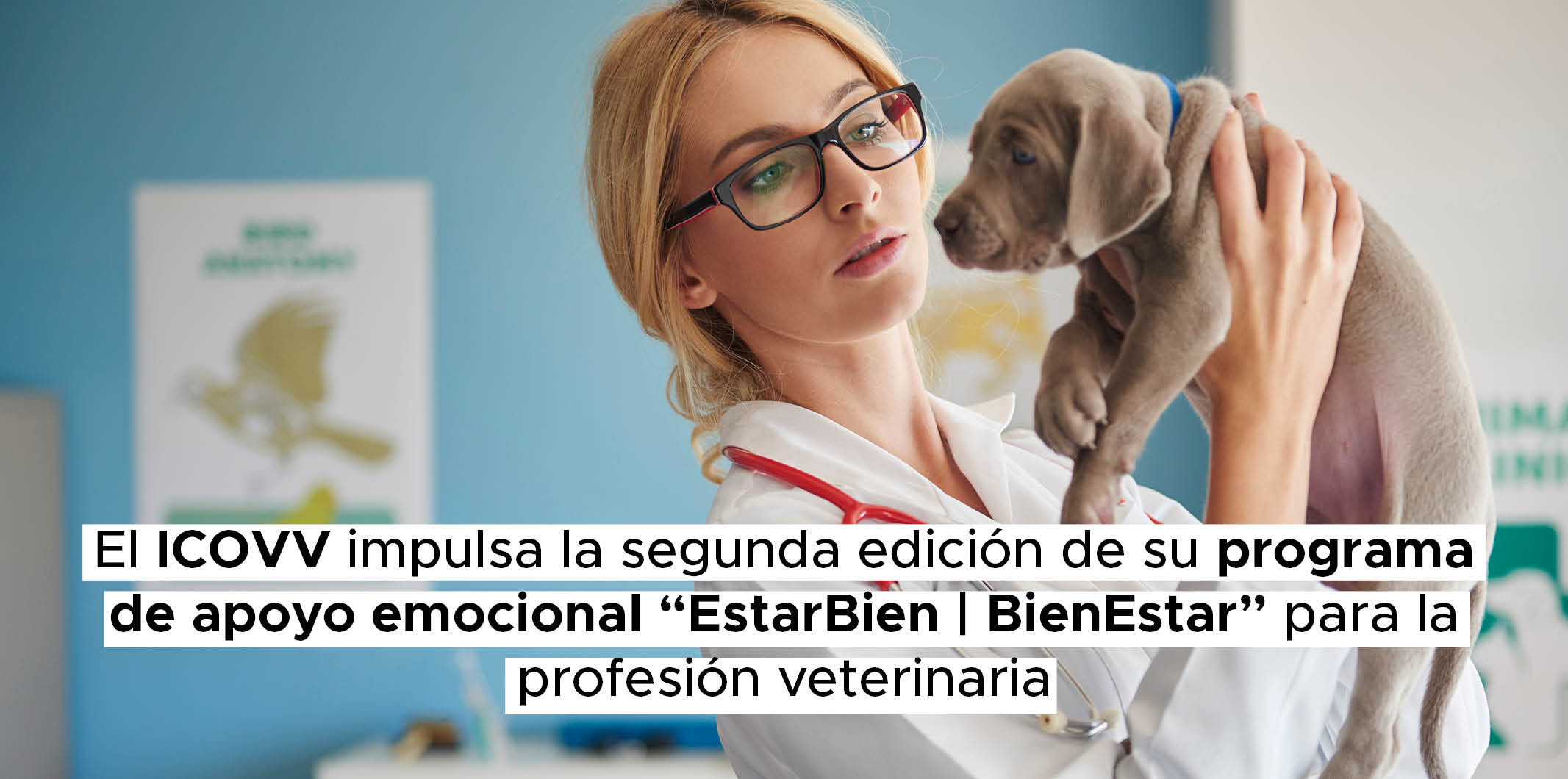 El ICOVV impulsa la segunda edición de su programa de apoyo emocional “EstarBien | BienEstar” para la profesión veterinaria